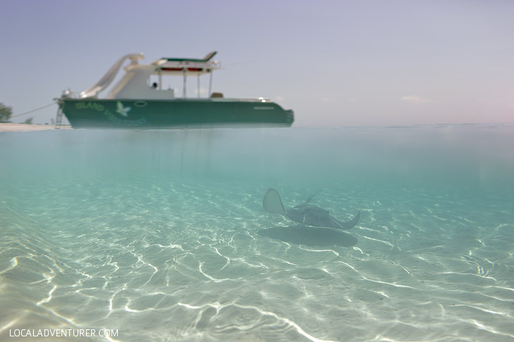 5 Underwater Photography Tips for Better Travel Photos.