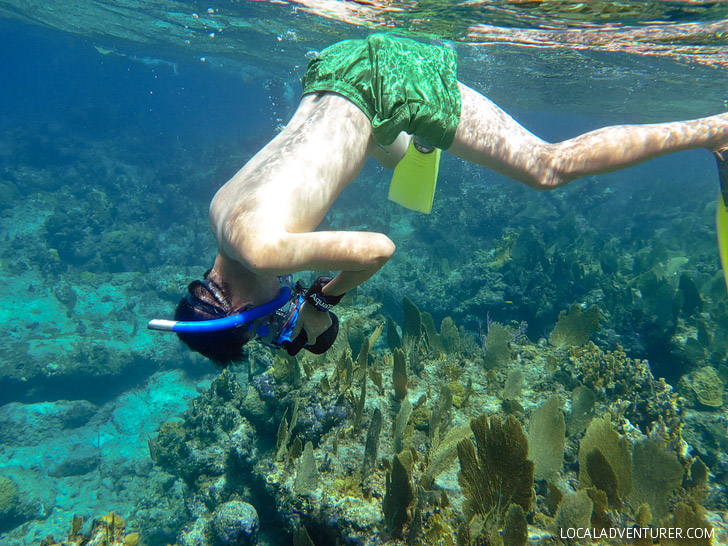 5 Quick Underwater Photography Tips for Better Travel Photos.