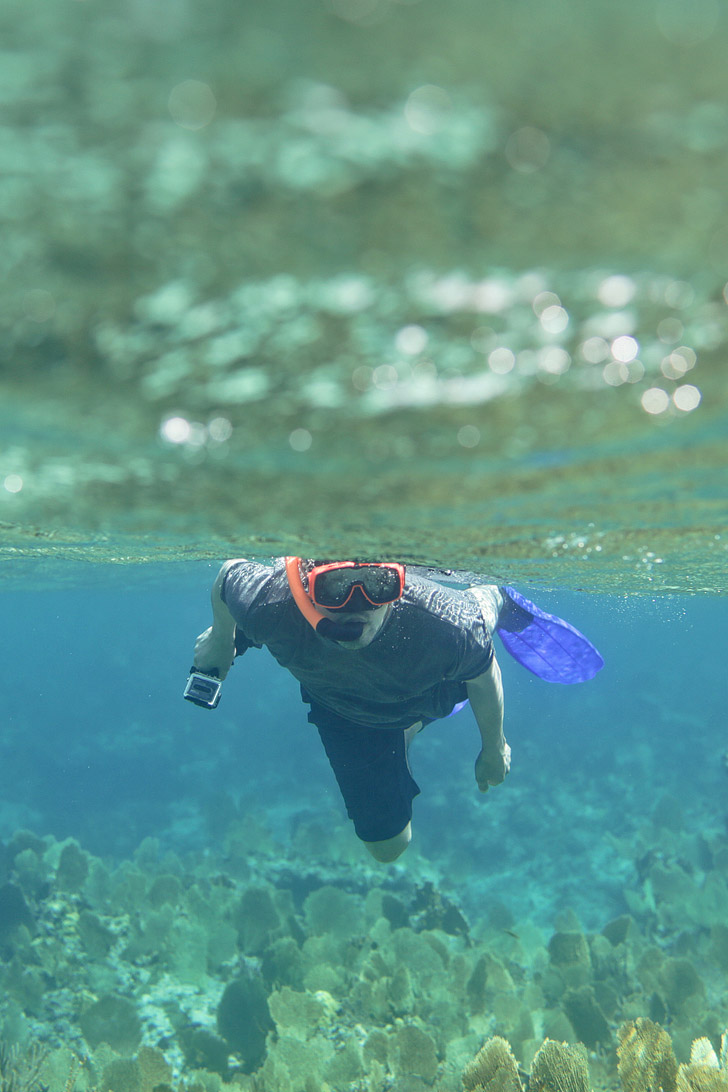 5 Quick Underwater Photography Tips for Better Travel Photos.
