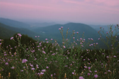Checklist of Asheville Things to Do // Local Adventurer #northcarolina