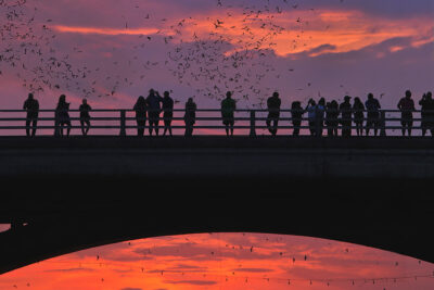 Austin Texas Bucket List Header
