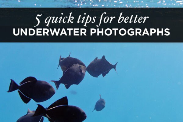 5 Quick Underwater Photography Tips for Better Travel Photos.