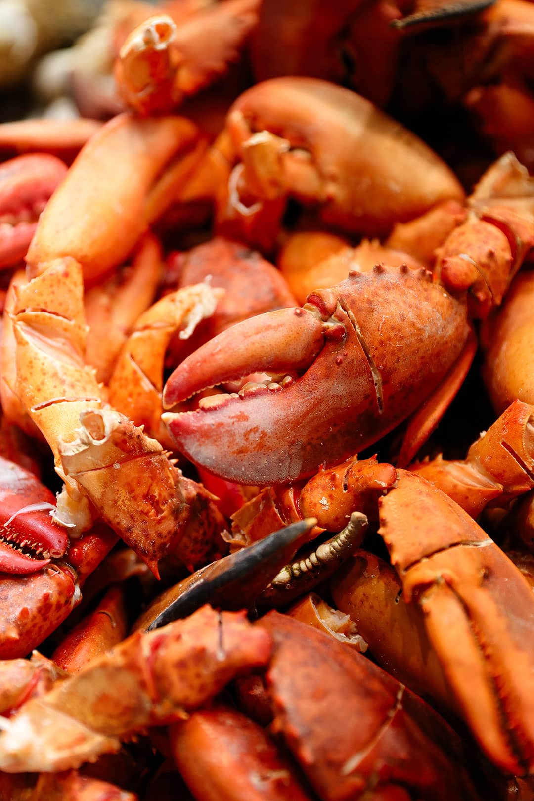 bacchanal buffet crab