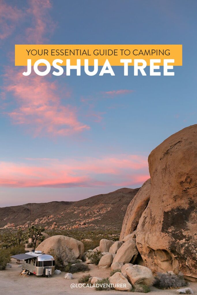 Best Campground in Joshua Tree