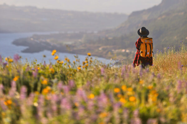 Best Hikes to See Oregon Wildflowers • Wildflower Hikes in Washington • Best Spring Hikes in Oregon • PNW Hikes • Pacific Northwest // Local Adventurer #localadventurer #traveloregon #wastate #oregon #pnw #hiking #pacificnorthwest