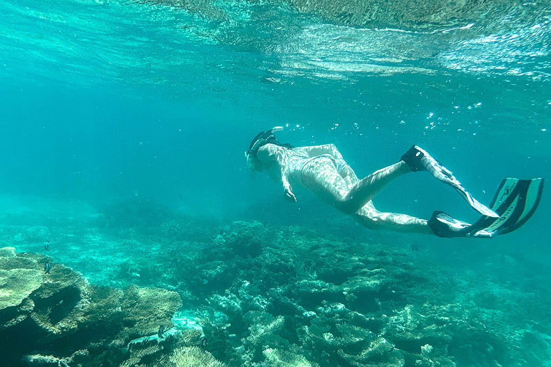 best snorkeling in mauritius