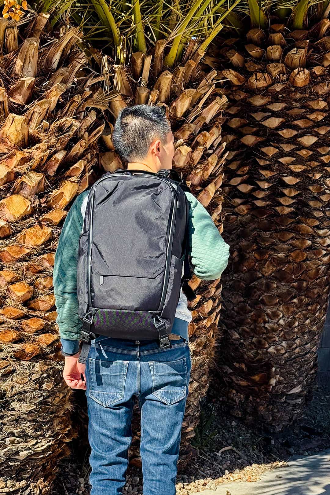 best travel backpacks alpaka elements travel backpack