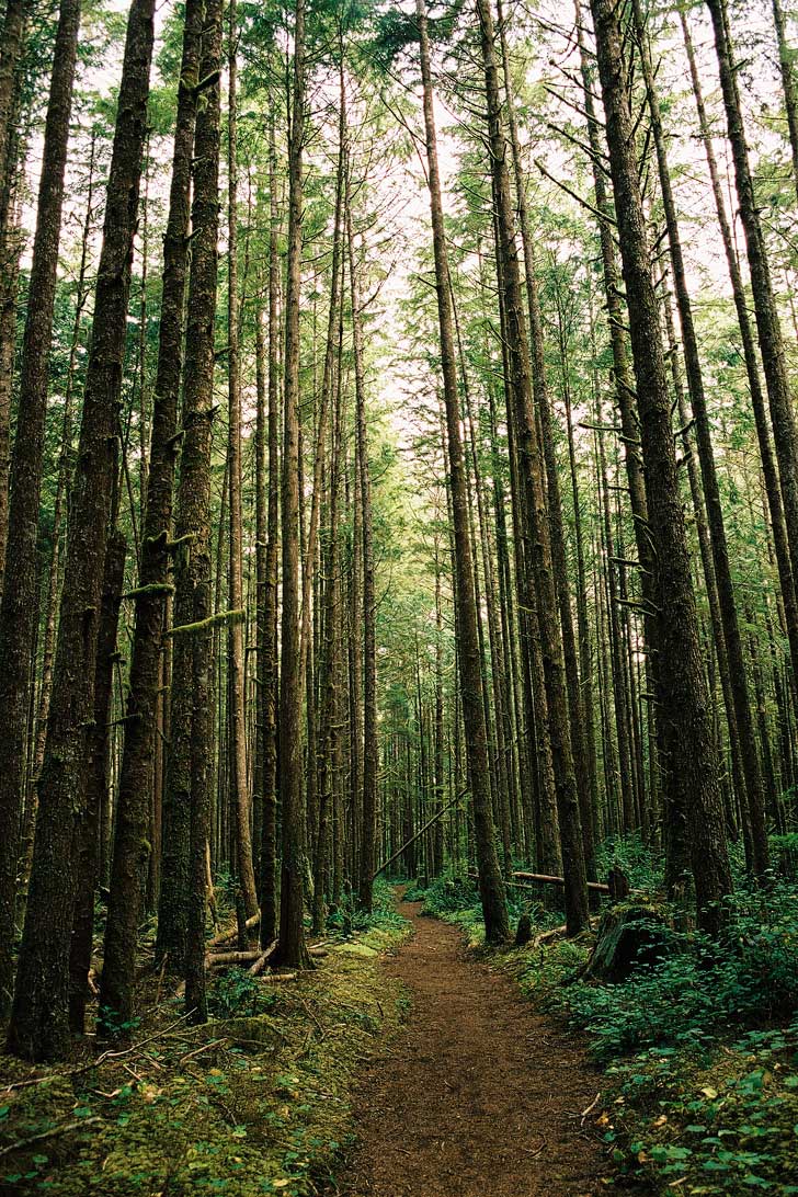 West Coast Trail BC + Best Treks in the World to Put on Your Bucket List (photo: Alejandro Erickson) // localadventurer.com