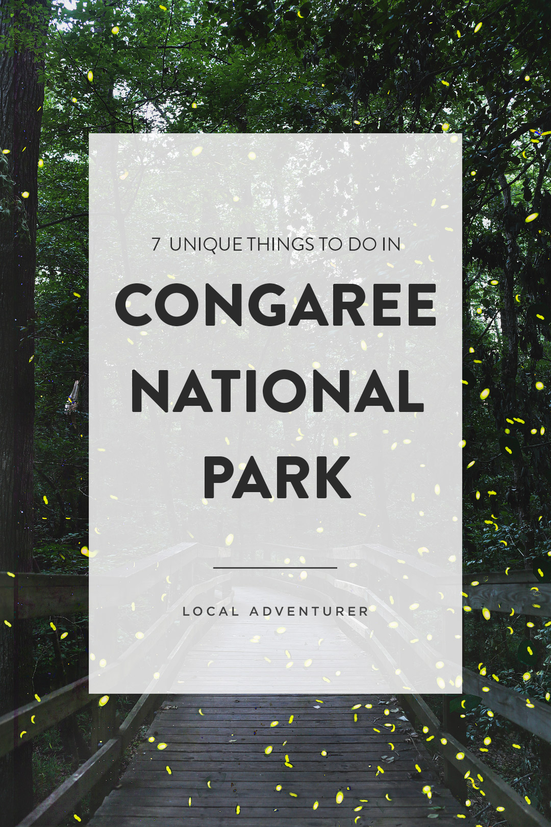 Synchronous fireflies in Congaree National Park