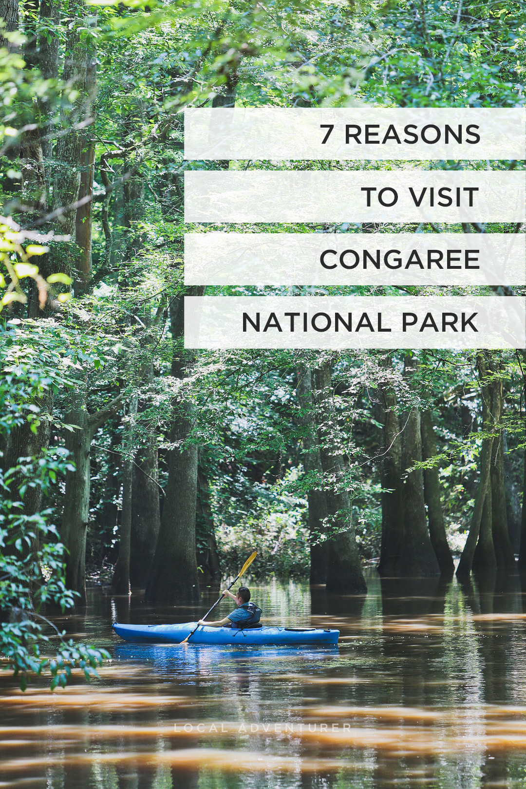 Kayaking in Congaree National Park South Carolina