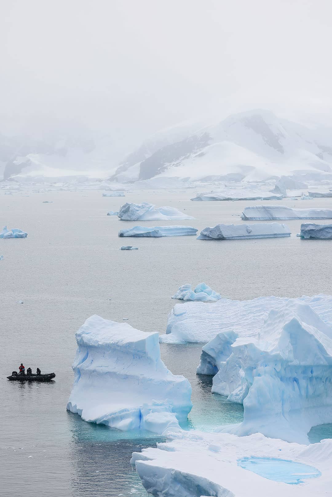 detaille island antarctica