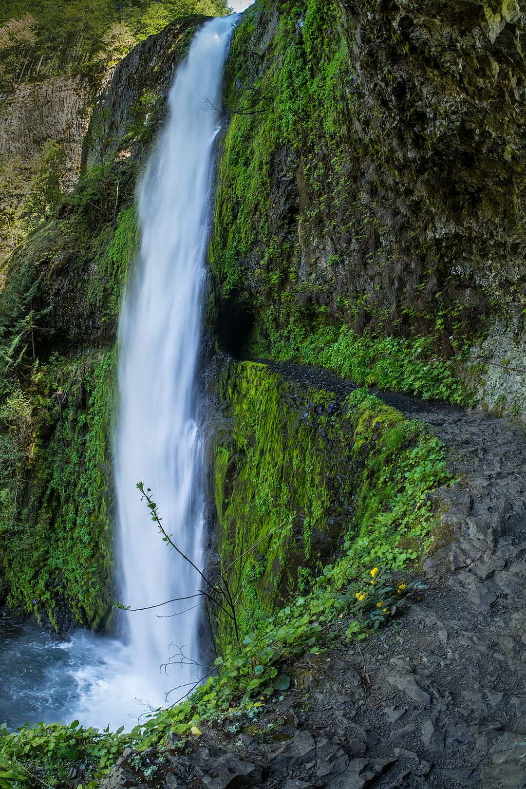 eagle creek trail oregon