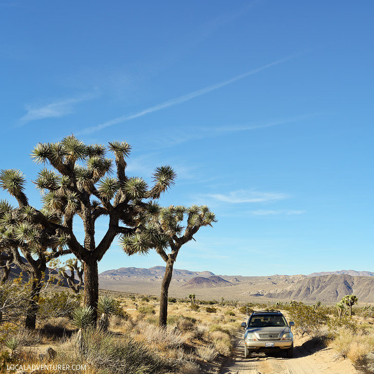 Geology Road - Off roading at Joshua Tree NP California USA // localadventurer.com