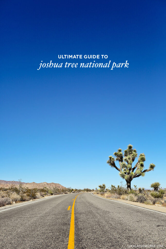 Ultimate Guide to Joshua Tree National Park California