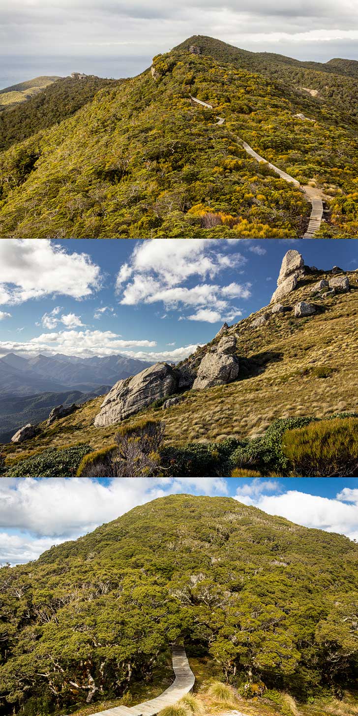 Hump Ridge Track New Zealand + Best Hiking Trails in the World to Put on Your Bucket List (photo: Harald Selke) // localadventurer.com