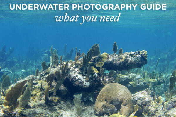 Photo Gear Guide to Underwater Photography