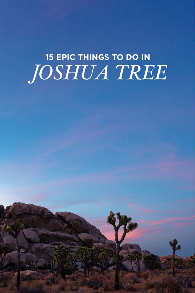 Your Essential Guide to Joshua Tree California