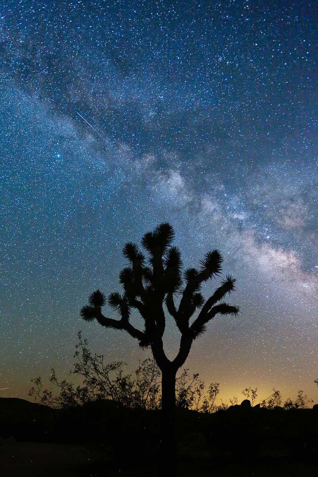 joshua tree milky way