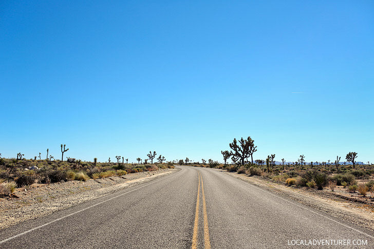 Driving Joshua Tree National Park California // localadventurer.com