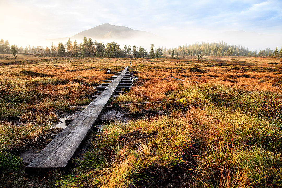 Kungsleden Trail + 25 Best Hikes of the World