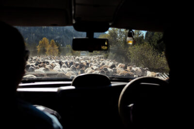 Kyrgyzstan Transportation, Traffic Jams, and Other Travel Advice // localadventurer.com
