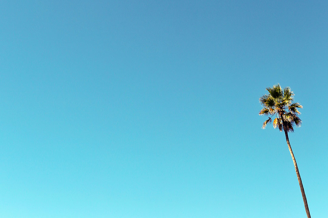 You are currently viewing Ultimate Los Angeles Bucket List (101 Things to Do in LA)