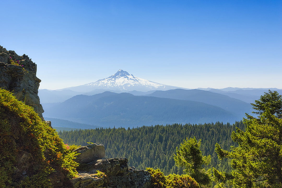 larch mountain trail oregon