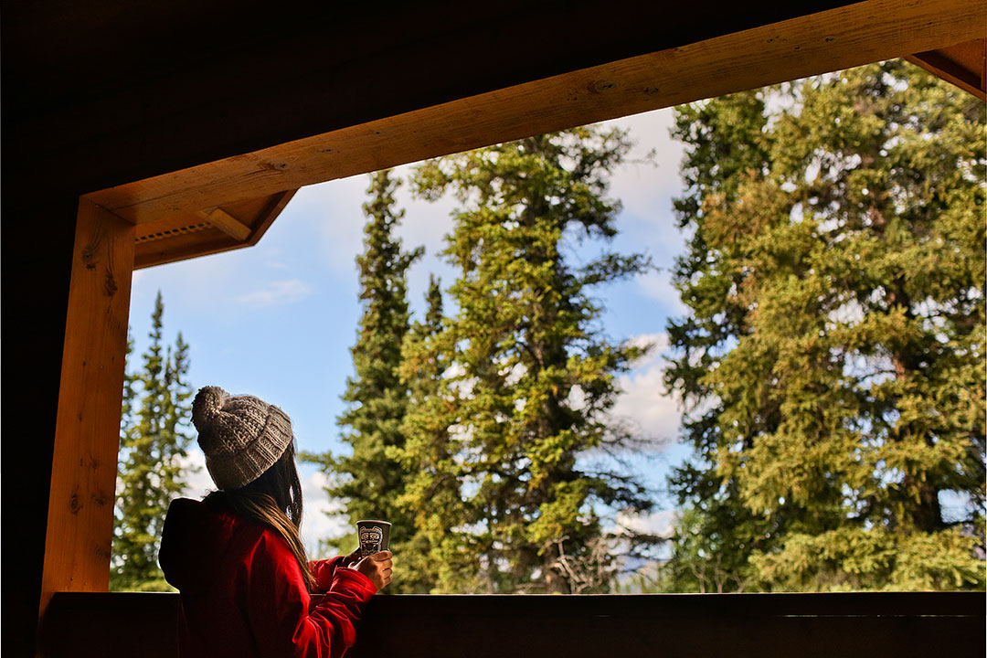 Lodging in Denali National Park