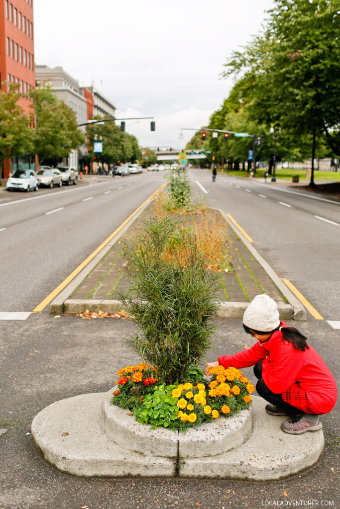 Mill Ends Park in Portland Oregon is the World's Smallest Park // localadventurer.com