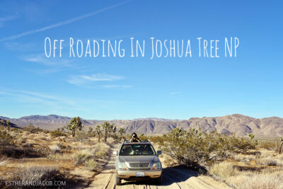 off roading in joshua tree national park. joshua tree park. joshua tree national. joshua tree park california. joshua tree photos. joshua tree nationalpark.