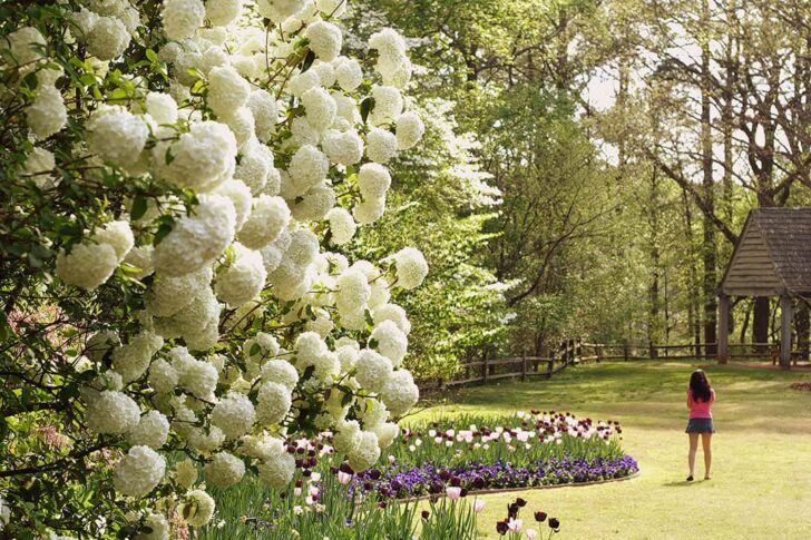 Callaway Gardens + 15 One Day Trips from Atlanta GA