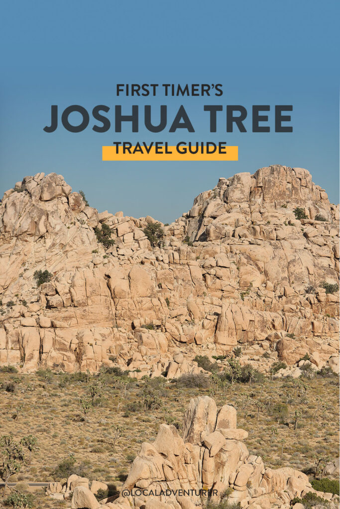 What to Do in Joshua Tree